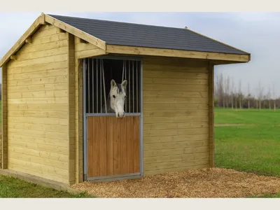 Box pour chevaux - Abris pour animaux extérieur - Burdiwood