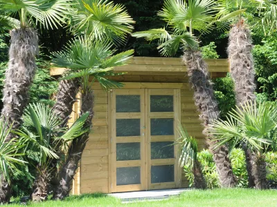 Moderne - Abri de jardin avec palmier